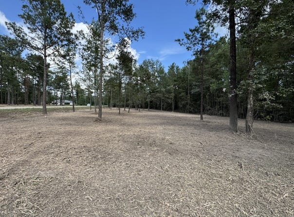 0 LA-40 Tract 4, Albany, LA 70711