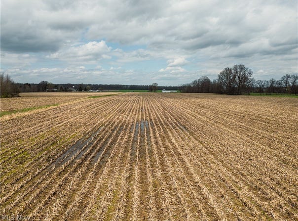 Steiner Road, Creston, OH 44217