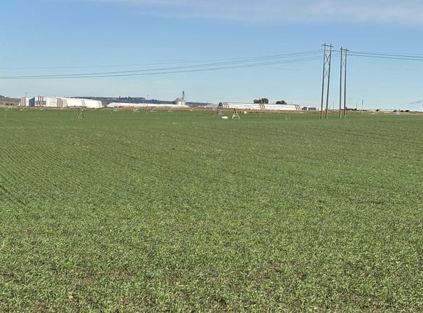 NKA Vineyard Drive (Parcel C), Pasco, WA 99301-0000
