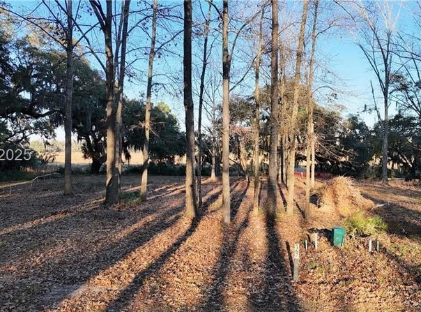 91 Castle Hill Drive, Yemassee, SC 29945