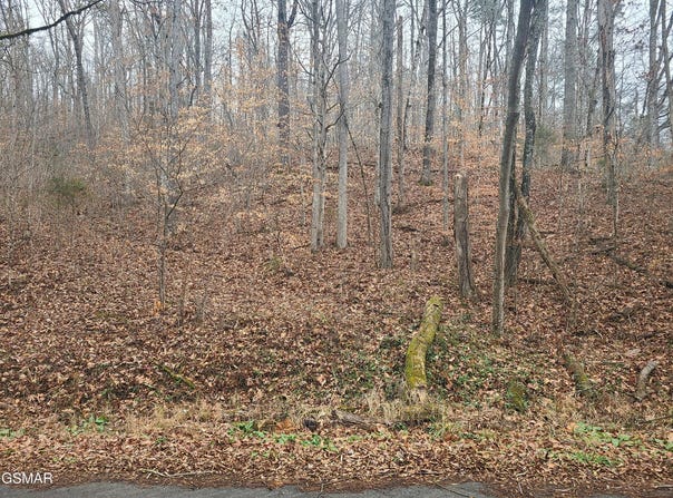 Tbd Keystown Road, Luttrell, TN 37779