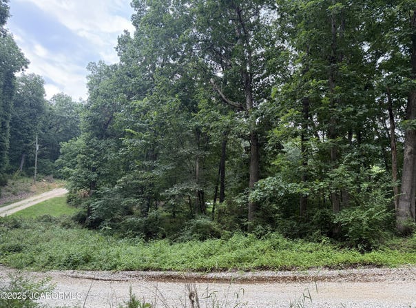 TBD LAKESIDE DRIVE, Auxvasse, MO 65231