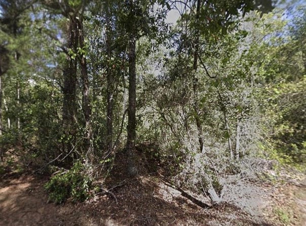 116 Terri Ave, Georgetown, FL 32139