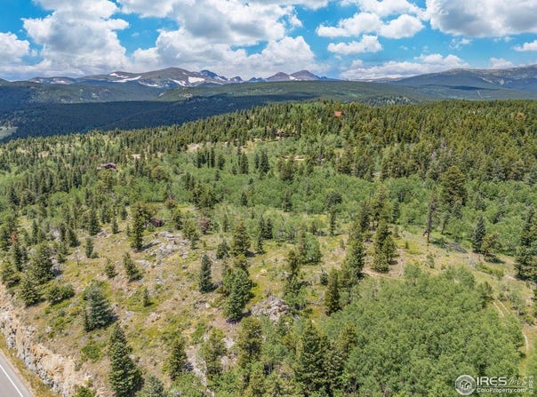 1568 County Road 103, Nederland, CO 80466