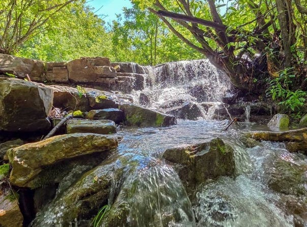 Ellison Ridge Road, Jumping Branch, WV 25969