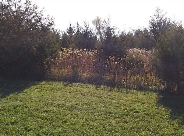 2 Redwing, GALENA, IL 61036