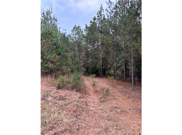 458 E Hwy 378, Edgefield, SC 29824