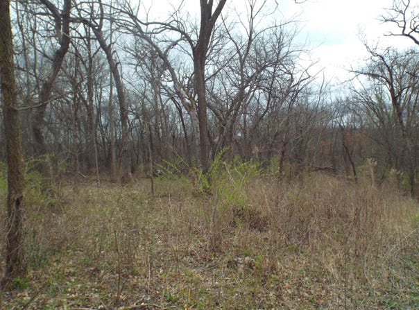 TBD Dog Hollow, WIOTA, WI 53504