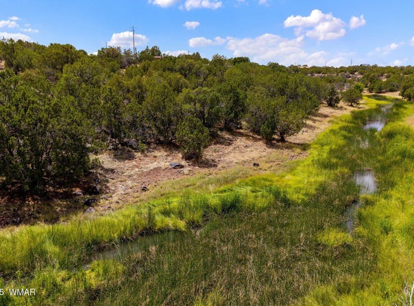 8604 Fox Circle, Show Low, AZ 85901