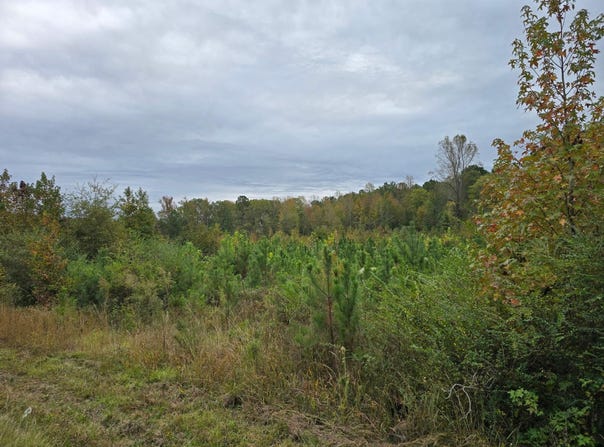 E Highway 378, McCormick, SC 29835