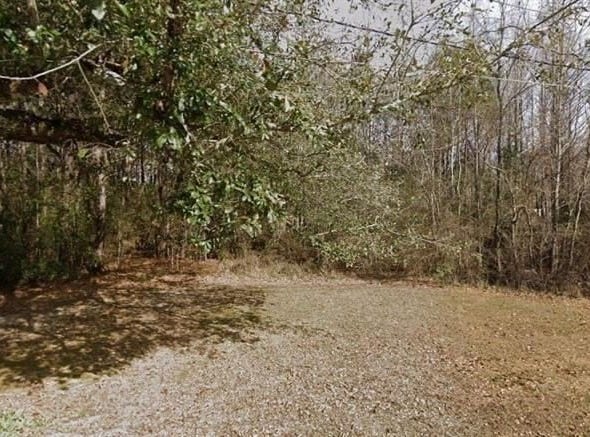 Robert Blow 1.49acres Road, Ponchatoula, LA 70454
