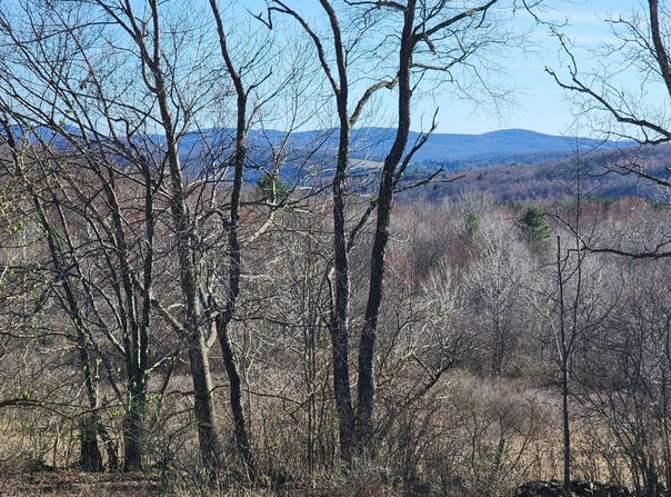 L1 Lang Road, Summit, NY 12175