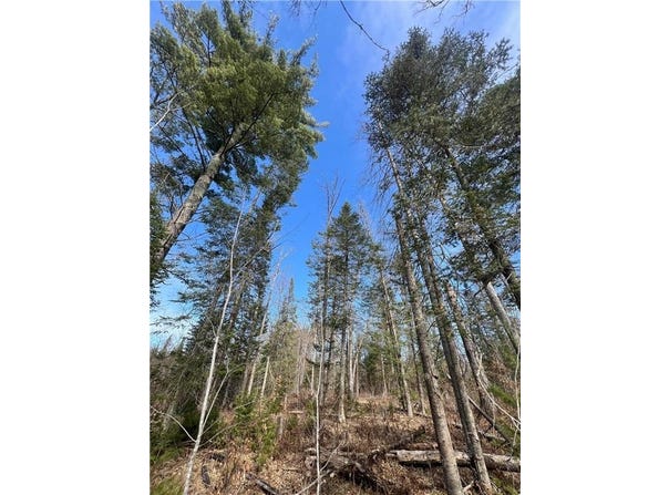 Xxx Yellowsands Drive, Spooner, WI 54801