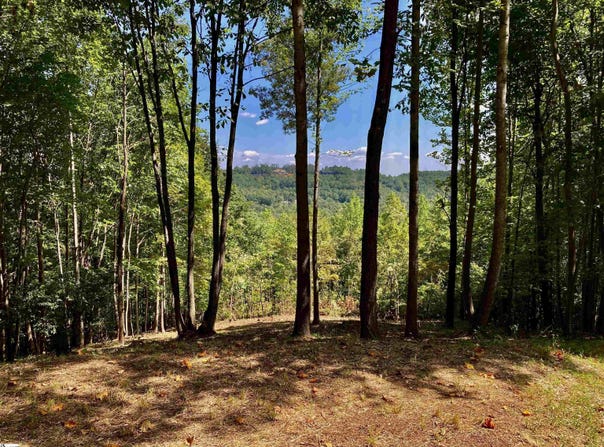 501 Blue Bonnet Trail, Marietta, SC 29661