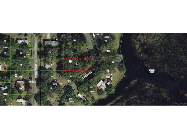 6080 N Mallard Drive, Hernando, FL 34442