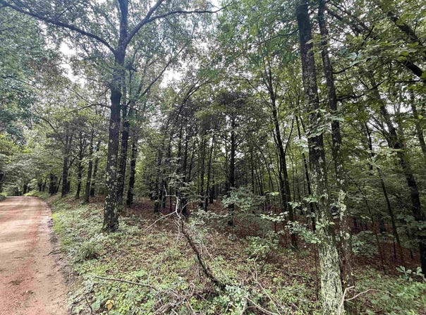 1 Clay 472/461 Road, Piggott, AR 72454