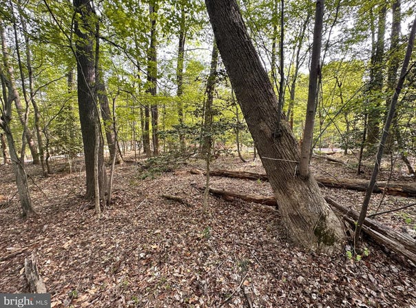 Lot# 140 BISHOP DRIVE, MONTROSS, VA 22520