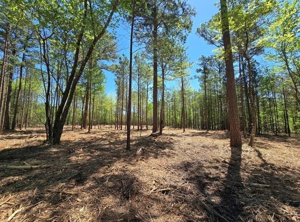 4 TBD Big Cedar Oklahoma, Big Cedar, OK 74939