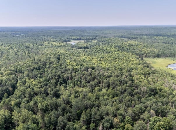 10701 KUUSISTO RD, Carey, WI 54534