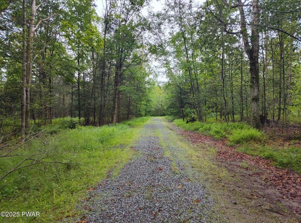 Lot 109 (AKA) GIBRALTER Road, Newfoundland, PA 18445