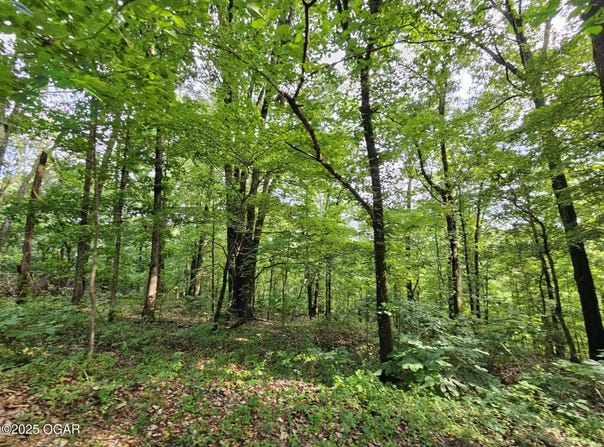 20 Ac Jesse James Road, Pineville, MO 64856