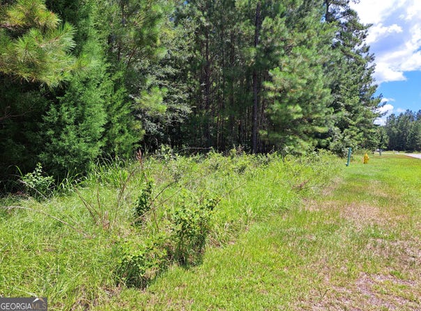 0 Shoreline, Kingsland, GA 31548