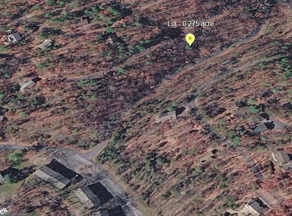 LEE lot: 161, BASYE, VA 22810