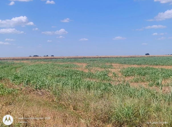 2016 Rolling Meadows Dr, Coupland, TX 78615