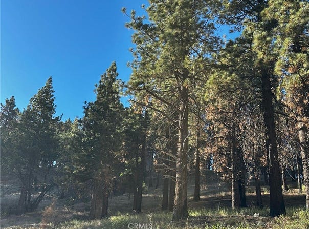1 Crest Forest Drive, Cedarpines Park, CA 92322