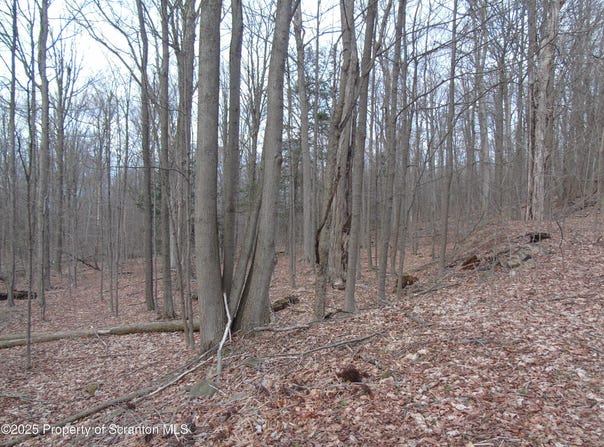 Carl Sunset Lane, Spring Brook Twp, PA 18444