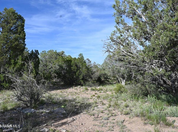 52084 Calle Ciervo, Seligman, AZ 86337