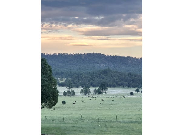 200 Meadow Lane, Mimbres, NM 88049