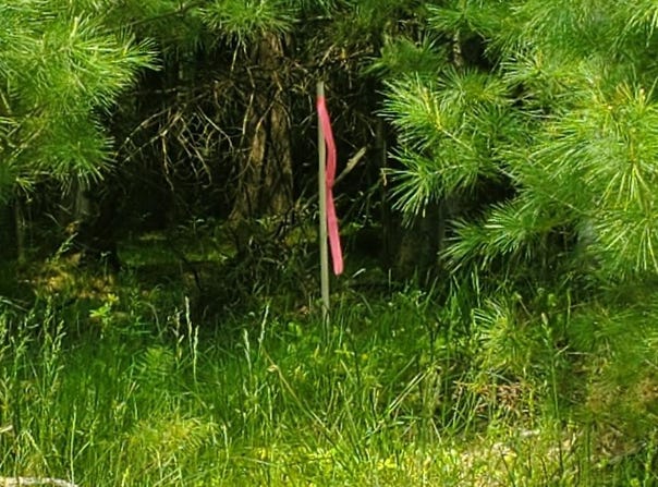 Off CTH J, WI 54568