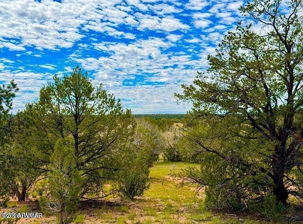 Dusty Rose Ranch Rd #A 16 Acre, Seligman, AZ 86337