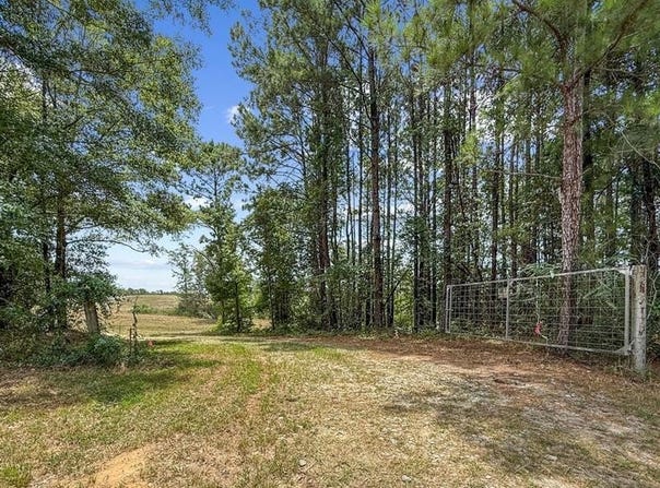 4154 Hwy 131, Clayton, AL 36016