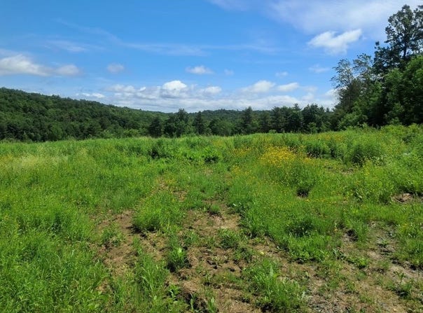 1567 Hollow Road, Monkton, VT 05469
