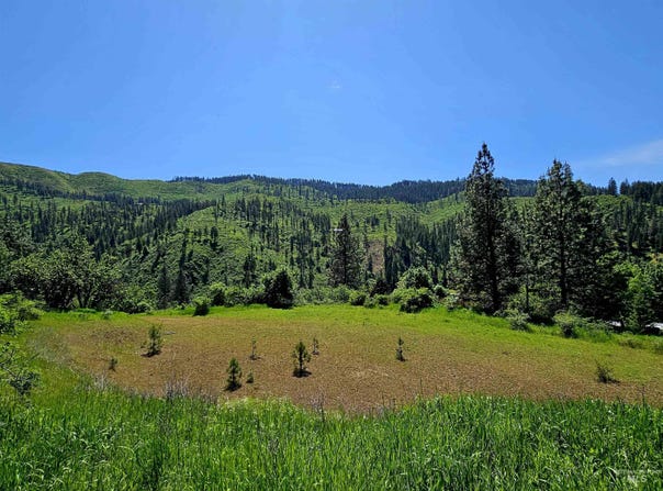 Tbd Adams Rd, Parcel D, Orofino, ID 83544