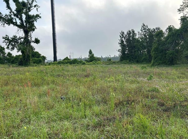 4575 Firestone Lane, Lake Park, GA 31636