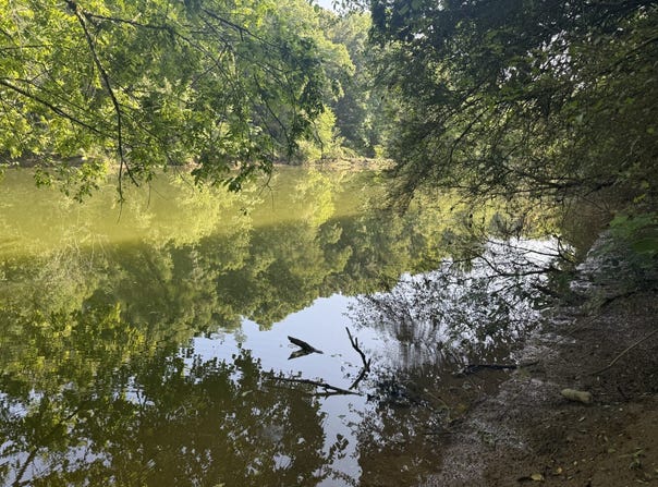 0 Lotta River Road, Sipsey, AL 35584
