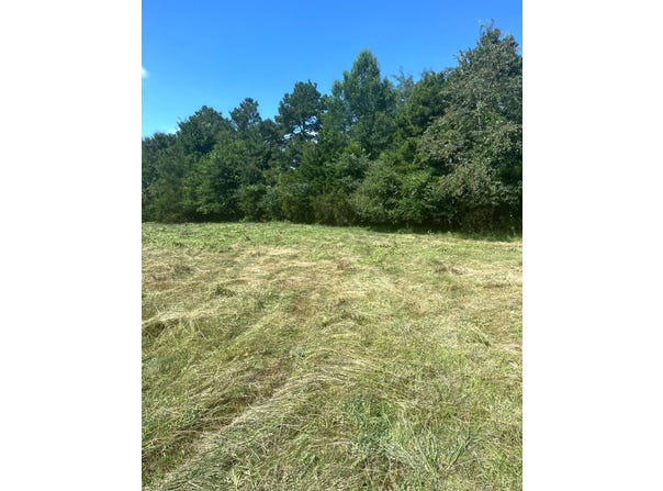 Tract 1  Highway 83, Howe, OK 74940