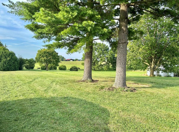 1132 Lucas Lane, Frankfort, KY 40601