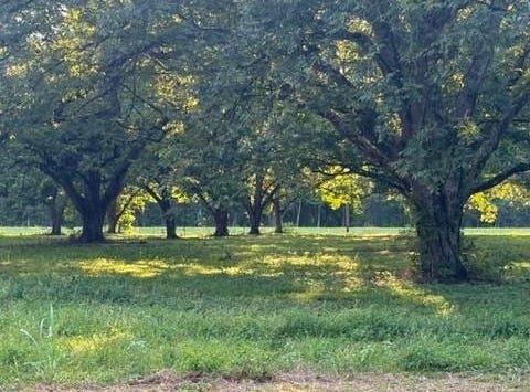 Highway 65 S, Tallulah, LA 71282