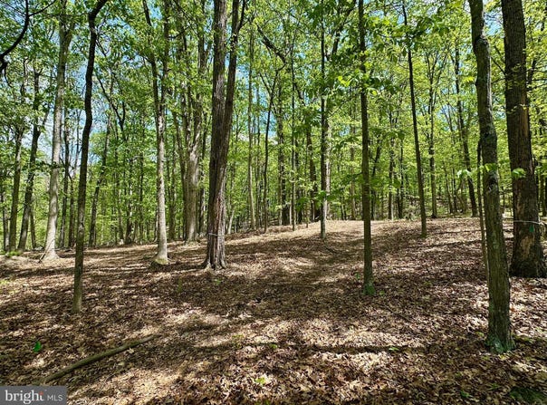 125 ENDER DRIVE, MOOREFIELD, WV 26836