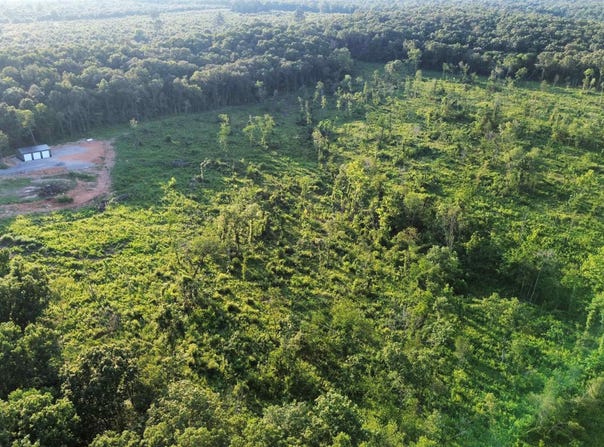 58 Simstown CR, Evening Shade, AR 72532-0058