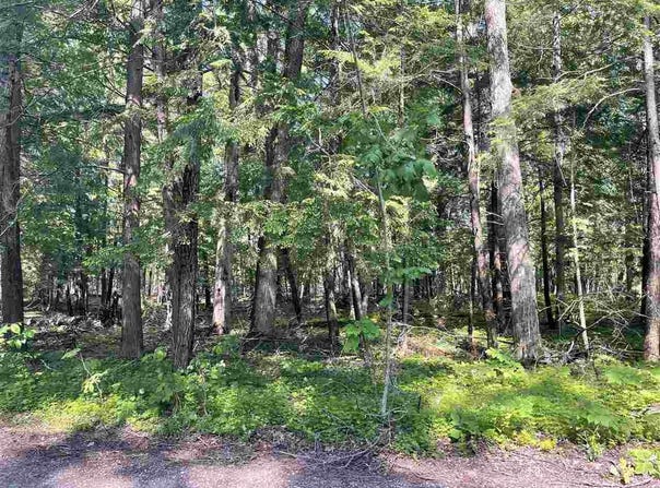 TBD BRIDGE, HARBOR SPRINGS, MI 49740