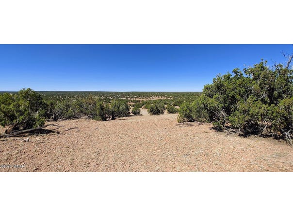 9182 Texas Lane, Show Low, AZ 85901