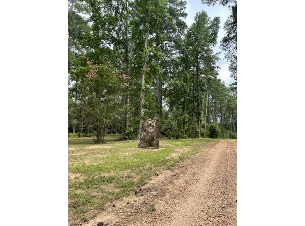 004 Carpenter St., Jena, LA 71342
