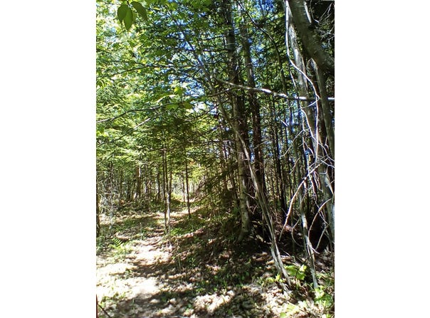 (A) Gager Rd, Engadine, MI 49827