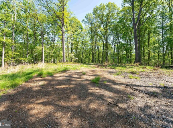 1000 MANNING ST, GREAT FALLS, VA 22066