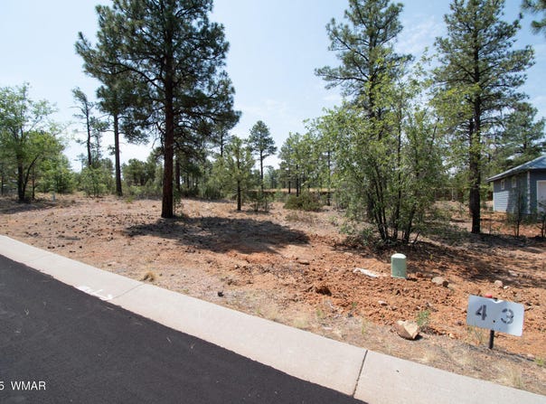 381 E Huckleberry Lane, Show Low, AZ 85901